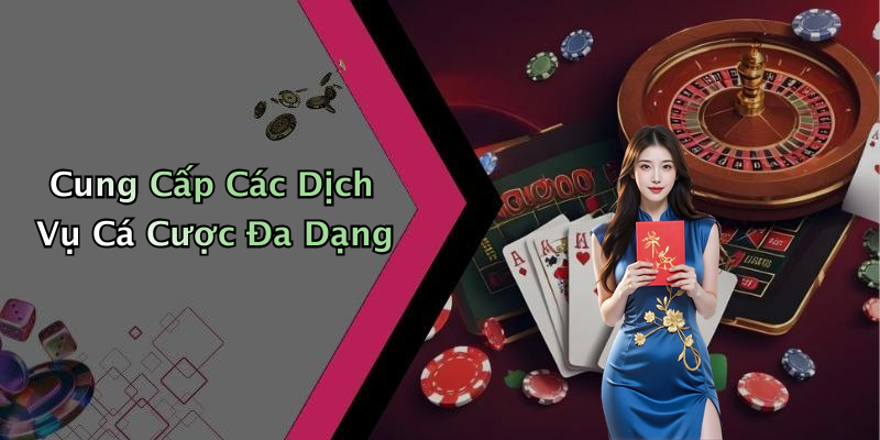 Cung Cấp Các Dịch Vụ Cá Cược Đa Dạng